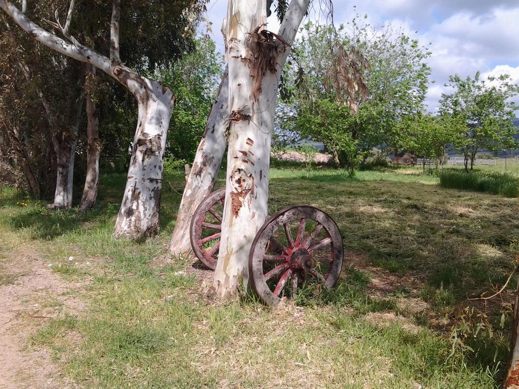 Agriturismo Spinalva Perfugas المظهر الخارجي الصورة